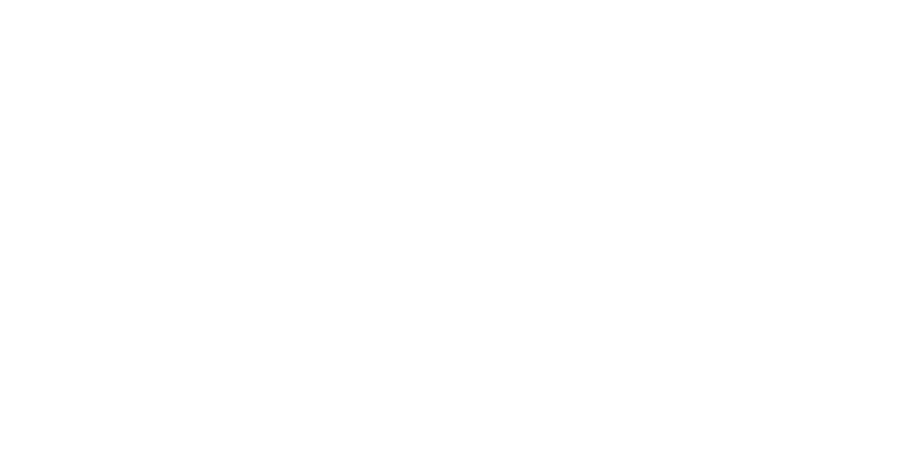 Eagle Partners